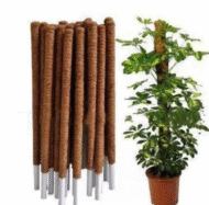 Coco Coir Pole - Image 2