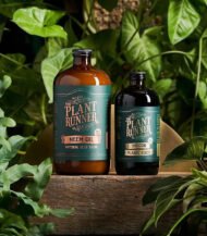 Neem Oil Natural Leaf Shine