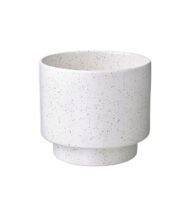 Monstera Deliciosa Indoor Plant - Image 2