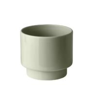 Monstera Deliciosa Indoor Plant - Image 3