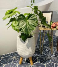 Mica Douro Pot - Image 2